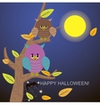 spiders in the web tree and owl vector image