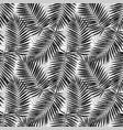 palm leaves seamless pattern vector image
