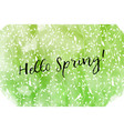 hello spring text vector image vector image