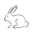 outline draw rabbit vector image