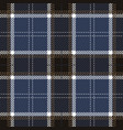 blue tartan plaid seamless pattern vector image
