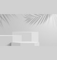 cosmetics product presentation grey podiums vector image