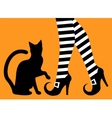 legs witch and black cat vector image