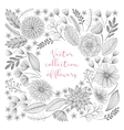 hand drawn floral collection vector image