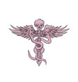 skull and spinal column with snakes drawing vector image