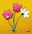 spring flowers vector image vector image