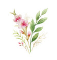 watercolor bouquet pink flowers vector image