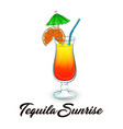 tequila sunrise cocktail vector image