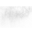 distressed black texture vector image