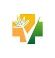 alternative medicine healthy vector image