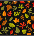autumn leaves seamless pattern on black background vector image vector image