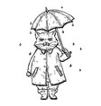 disgrunled cat in raincoat under umbrella vector image