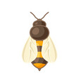honey bee image for food vector image