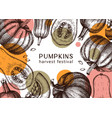 autumn harvest festival design with pumpkins vector image