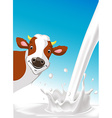 design with cow and pouring milk splash vector image