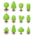 trees set 3d isometric vector image
