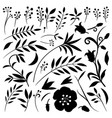 organic set plant elements and flowers vector image