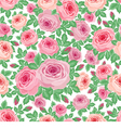pattern of roses vector image