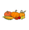 cartoon thanksgiving autumn food pumpkins corn vector image