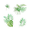 watercolor bouquet of bright tropical leaves vector image vector image