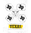 texas pride rough grunge vector image