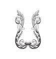 ornament vintage baroque vector image