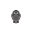 owl bird logo icon design template vector image