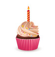 birthday cupcake with burning candle vector image