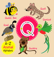 letter q tracing quail queen bee quetzal quokka vector image