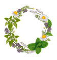 round ornament of herbs and flowers for labels vector image