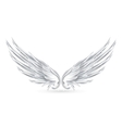 wings white vector image