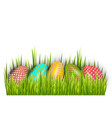 row of easter painted eggs hidden in green grass vector image