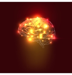 Cartoon human brain anatomy in a cut Royalty Free Vector