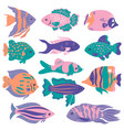 set cute oceanic fish isolated on a white vector image vector image