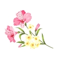 floral garland card vector image
