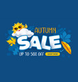 advertising banner about seasonal autumn sale vector image