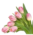 colorful tulip 20160313-12 vector image