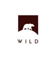 bear logo vector image