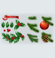 christmas decorations holly spruce red berries vector image vector image