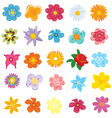 floral background vector image