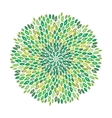 floral green mandala vector image vector image
