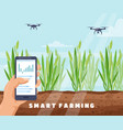 drone smart farm irrigation system with vector image