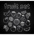 fruit set on a chalk board vector image