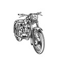 emblem design vector image vector image