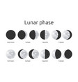 half and circle moon phases astrology calendar vector image