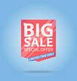 big sale special offer best price label vector image