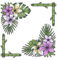 tropic hawaii exotic plant for surfing tiki bar vector image