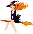 witch riding broom vector image