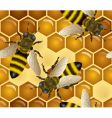 honey bees pattern vector image vector image