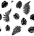 fern and monstera vector image vector image